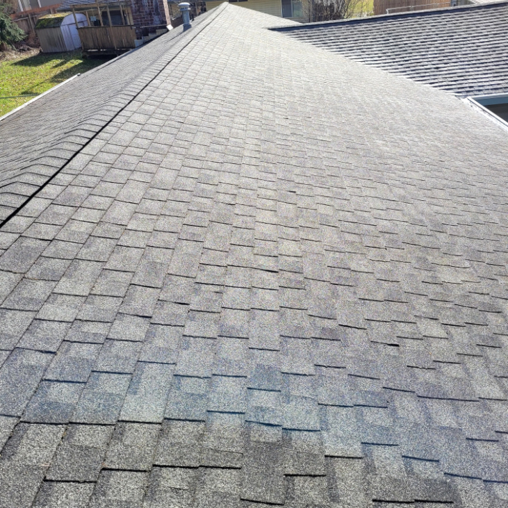 Roof Cleaning and House Washing in Port Orchard, WA