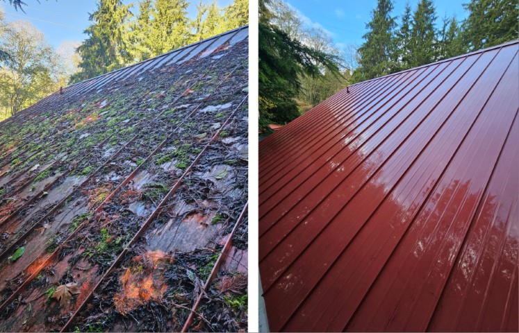 Metal Roof Cleaning, Jefferson County, WA