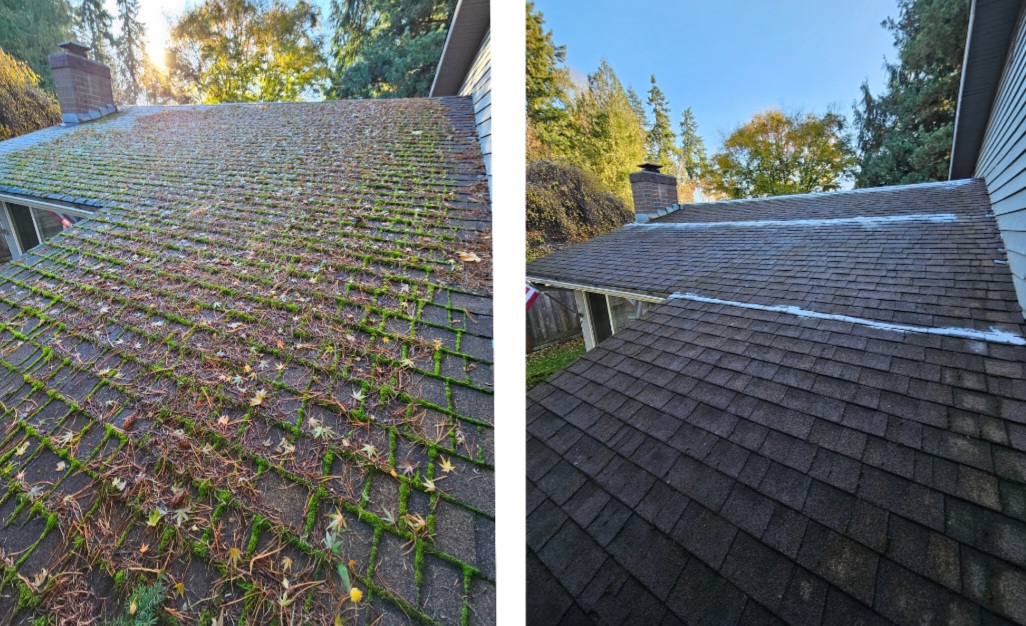 Moss Removal, Gutter Cleaning, Roof Treatment in Poulsbo, WA, Kitsap County