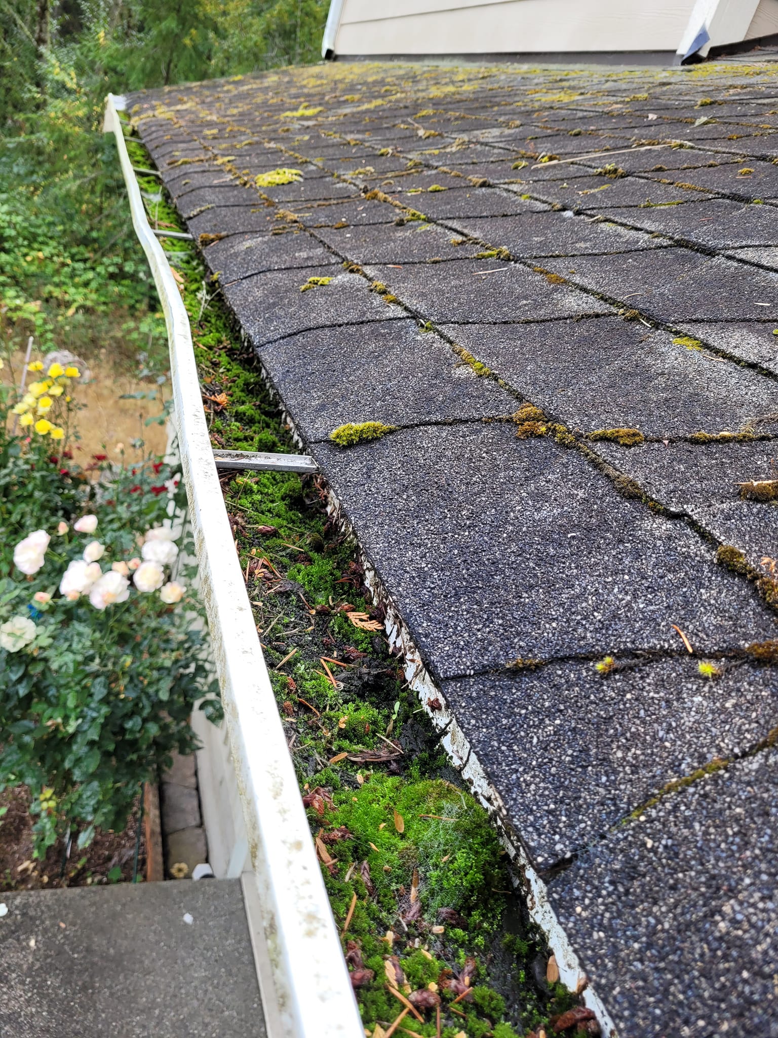 Roof Cleaning, Gutter Cleaning, and House Washing in Lakebay, WA