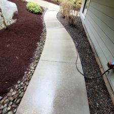 Driveway cleaning